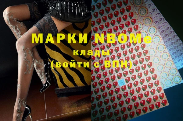 молекула духа Арсеньев