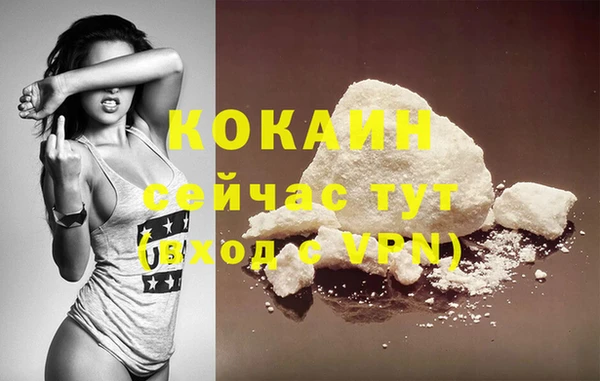 молекула духа Арсеньев