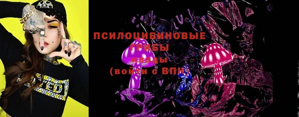 молекула духа Арсеньев
