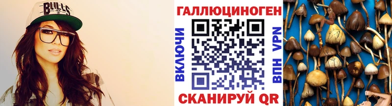Купить закладки  Гурьевск  Галлюциногенные грибы Psilocybe 